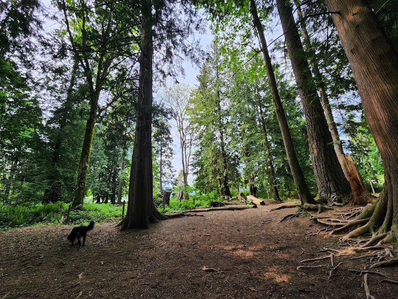 Westview Park Off-Leash Area dog park