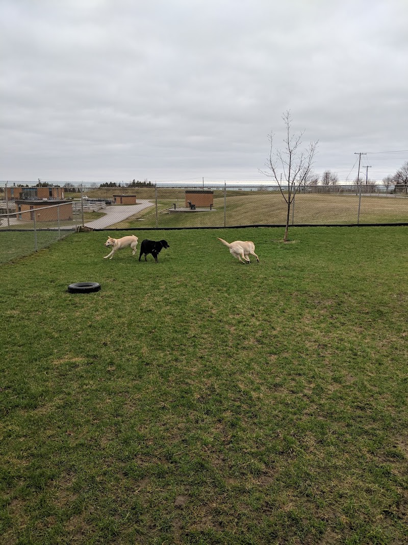 Goderich Dog Park dog park