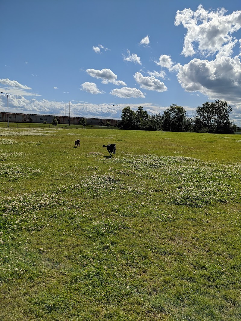 Grand Trunk Off Leash Dog Park dog park