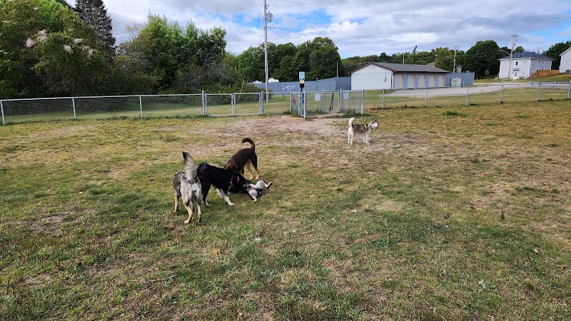 22 Wing Dog Park dog park