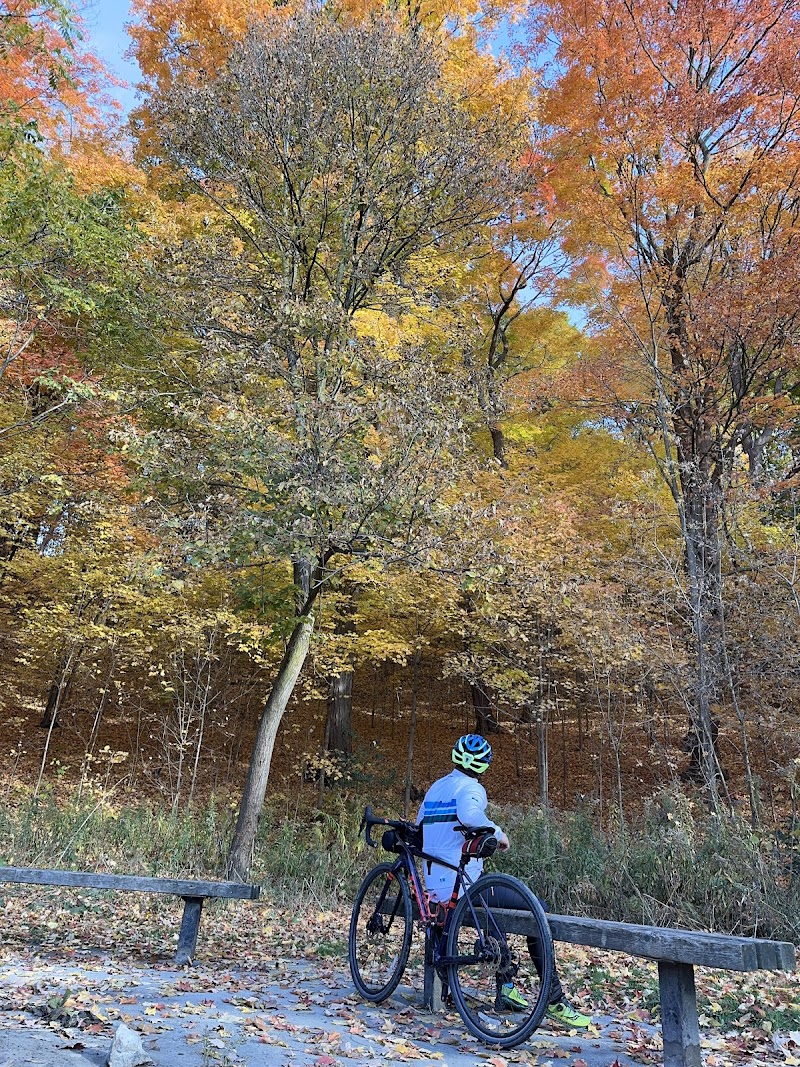 Taylor Creek Dog Park dog park