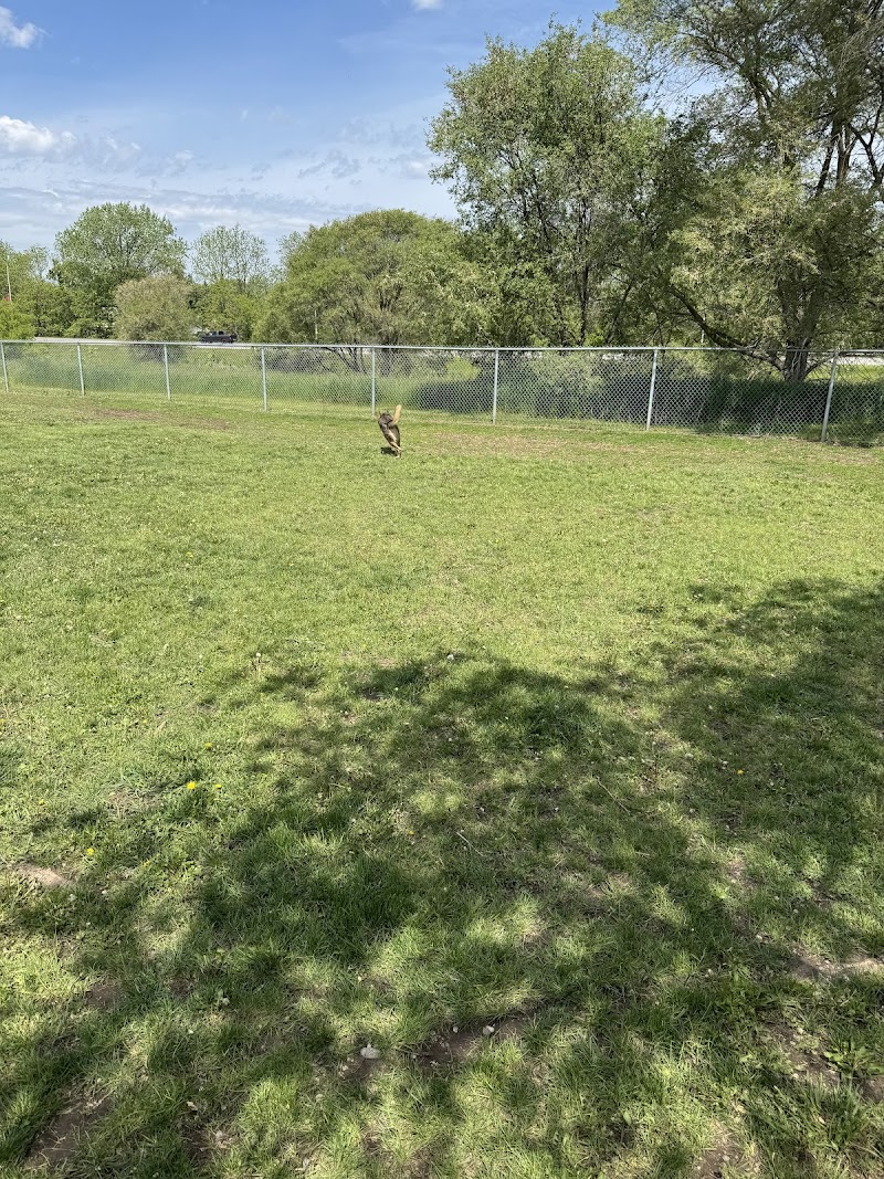 Dogford Park dog park