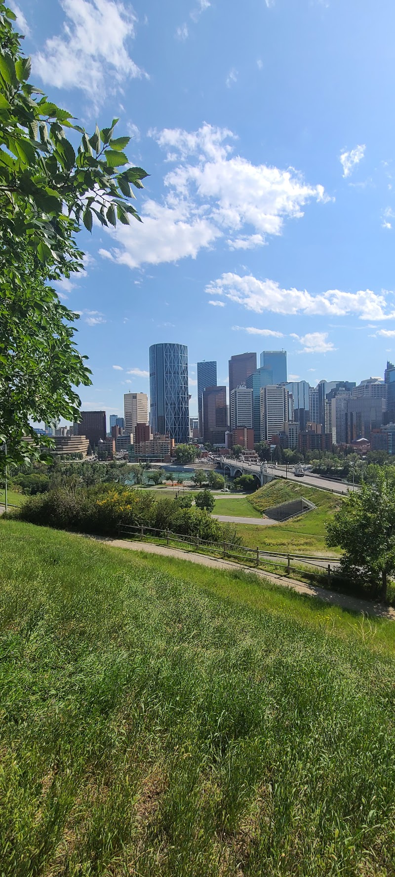 Rotary Park Off Leash Dog Park dog park