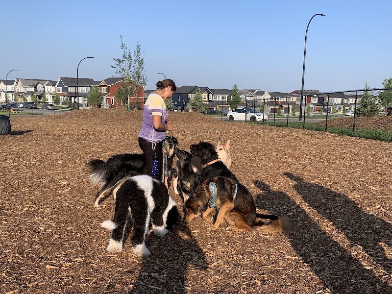 Seton Dog Park dog park