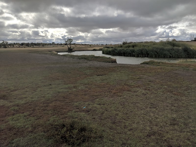 Cathy Lauritsen Memorial Off-Leash Dog Park dog park