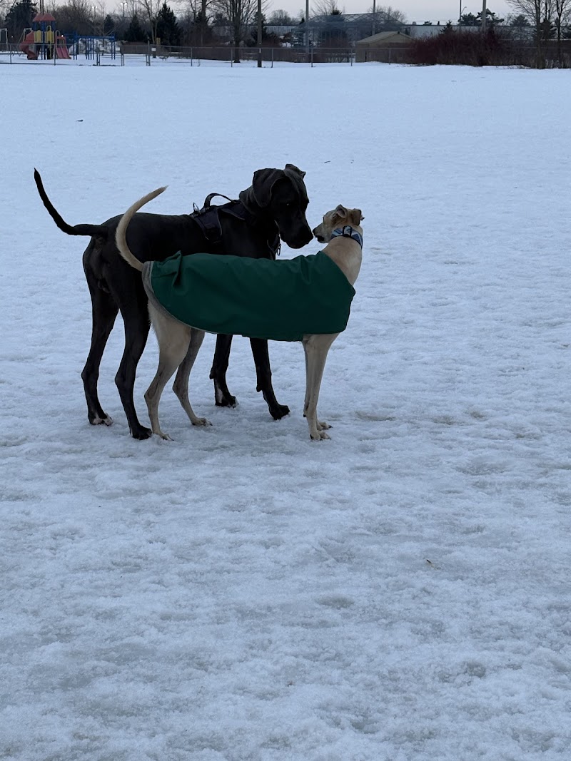 Stratford Dog Park dog park