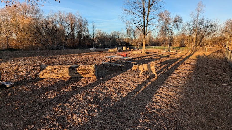 Prescott Dog Park dog park