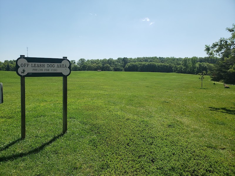 Kings Park Off-leash Dog Park dog park
