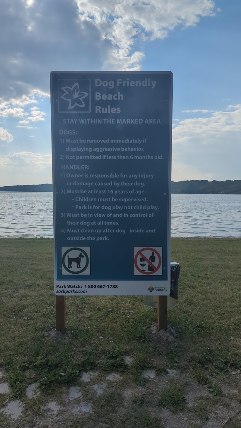 Pasqua Lake Dog Beach dog park