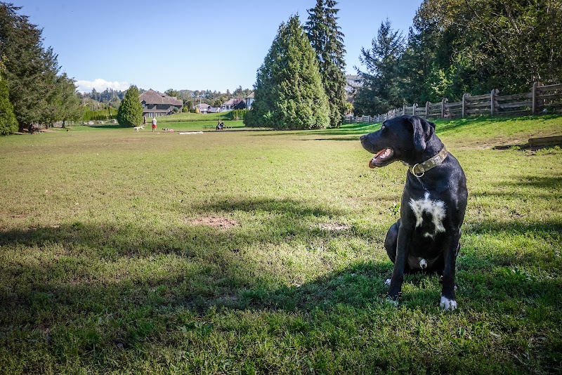 Dog Off Leash Park - Stoney Creek dog park