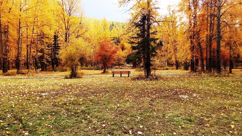 Railyard Dog Park dog park