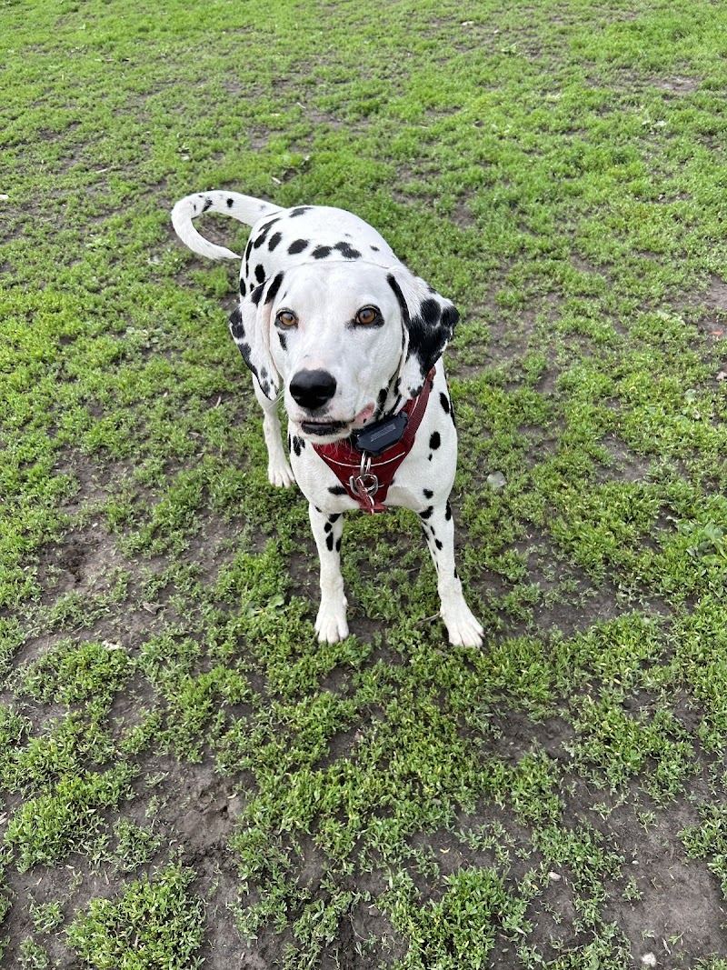Technologie Dog Park dog park