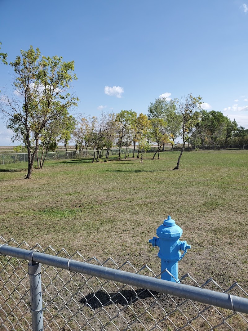 The Bark Park dog park