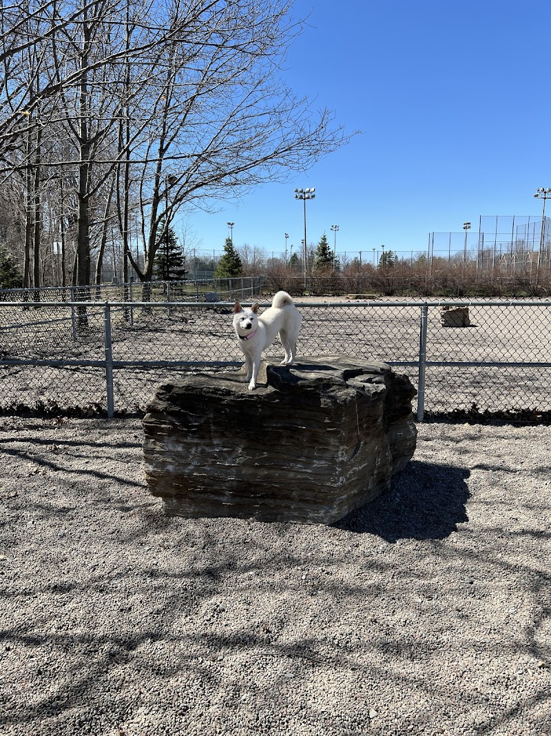 Brook Park dog park — fenced dog park in Montreal