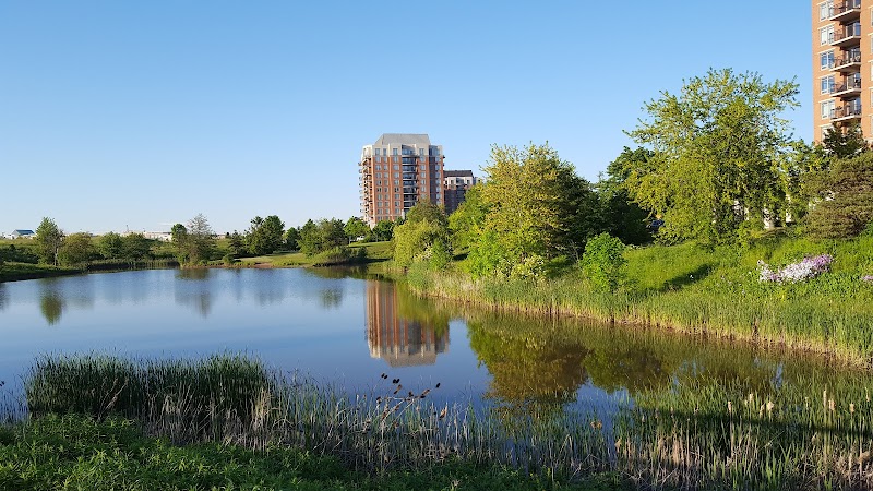 Oak Park Dog Park dog park