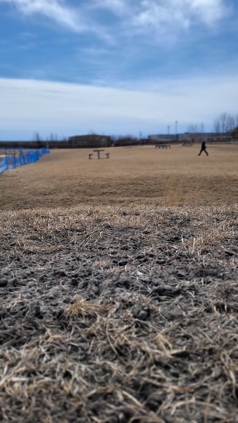 Len Thompson Dog Park dog park