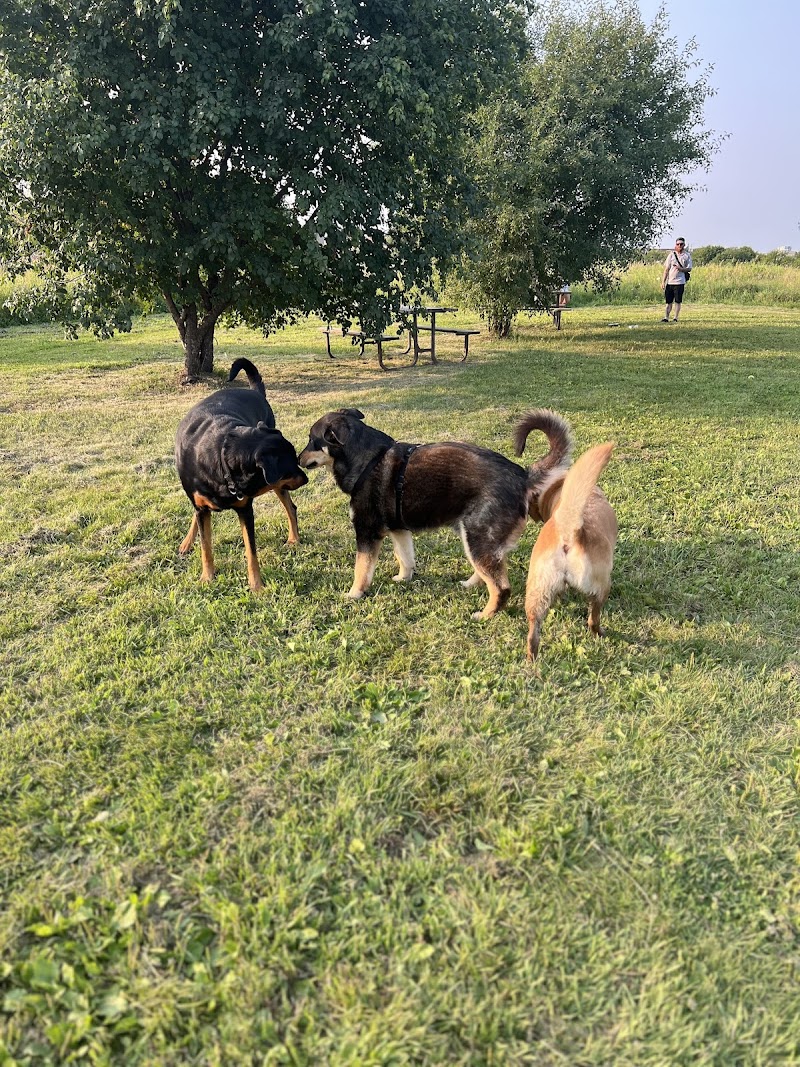 Caledon Leash-Free Dog Park dog park