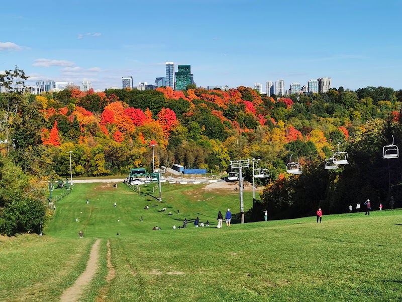 Earl Bales Park dog park