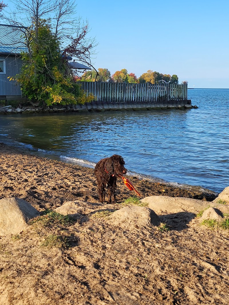 Innisfil Dog Beach dog park
