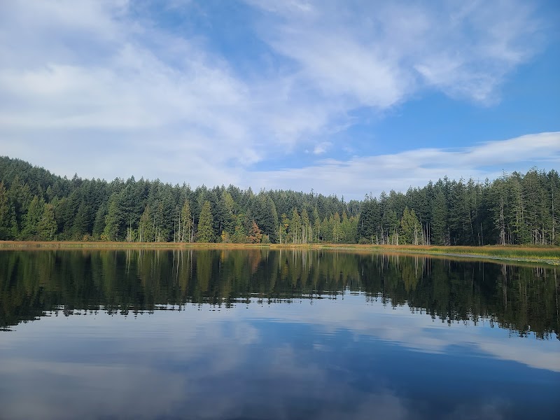 Chemainus Lake Park dog park