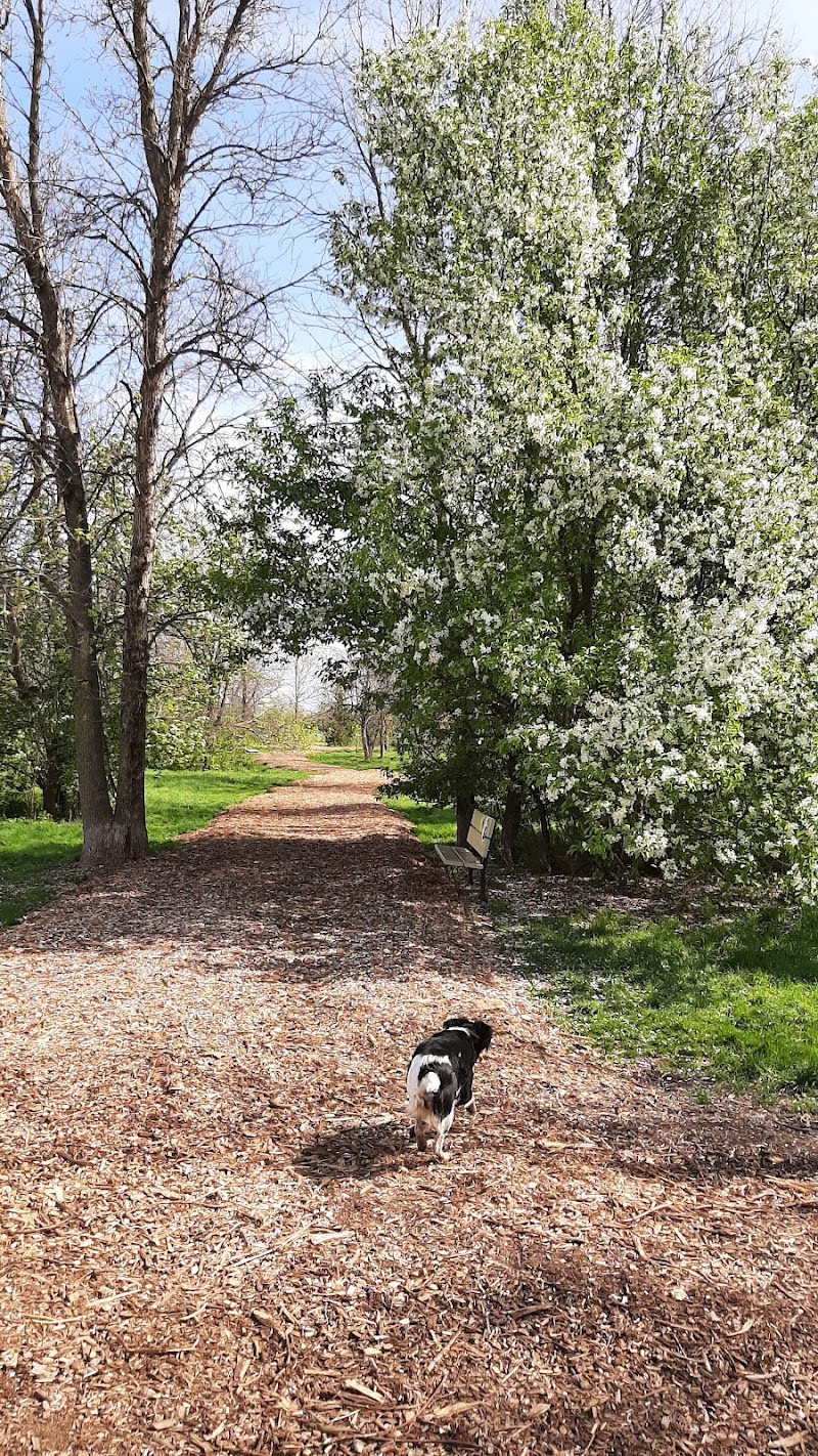 Surrey dog park dog park