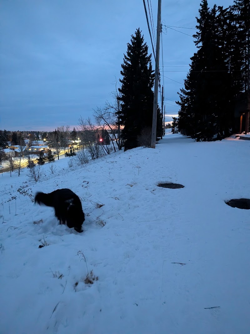 Bonavista Off Leash Area 4 dog park