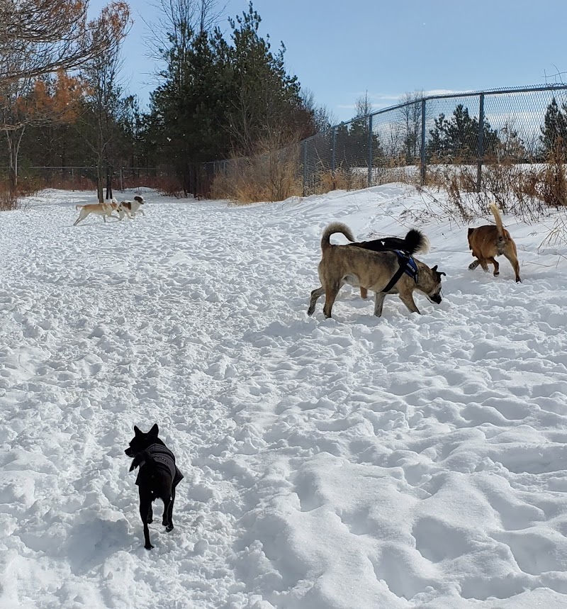 Brechin Community Centre Park & Dog Park dog park