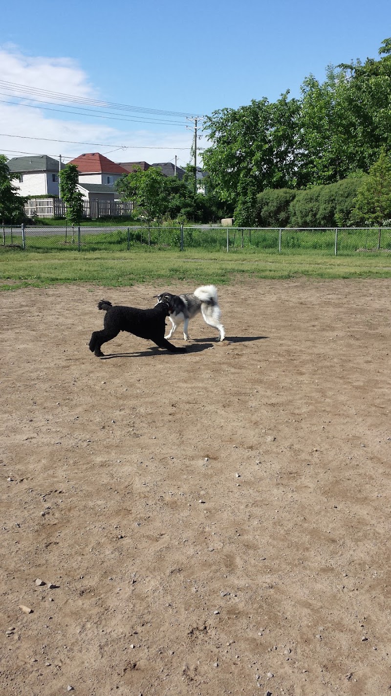 Laval-Ouest dog park dog park