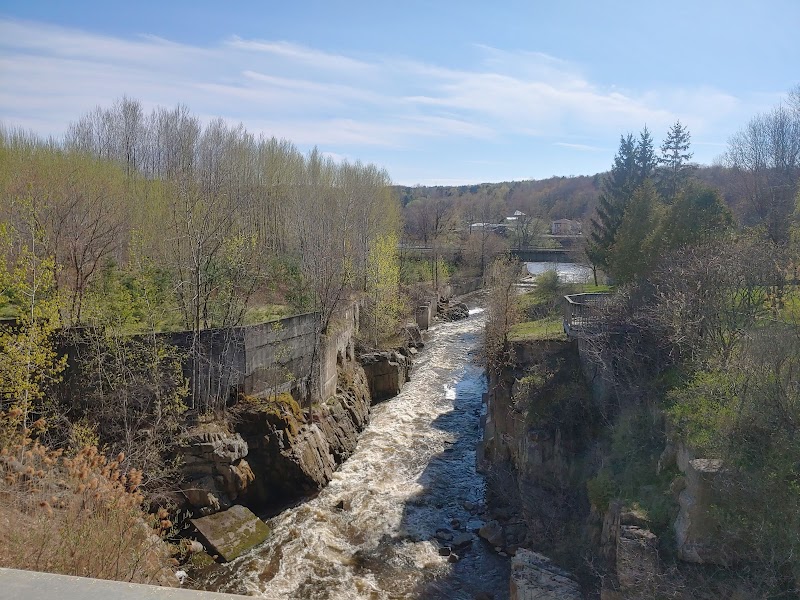 Windsor Dog Park dog park