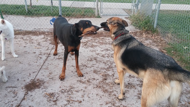 Carol Disher Leash-Free Dog Park dog park