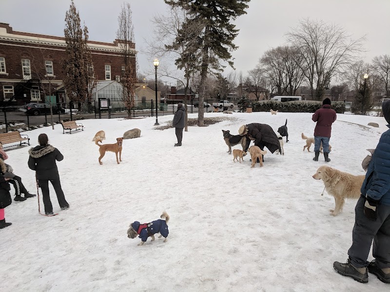 Montreal West dog park dog park
