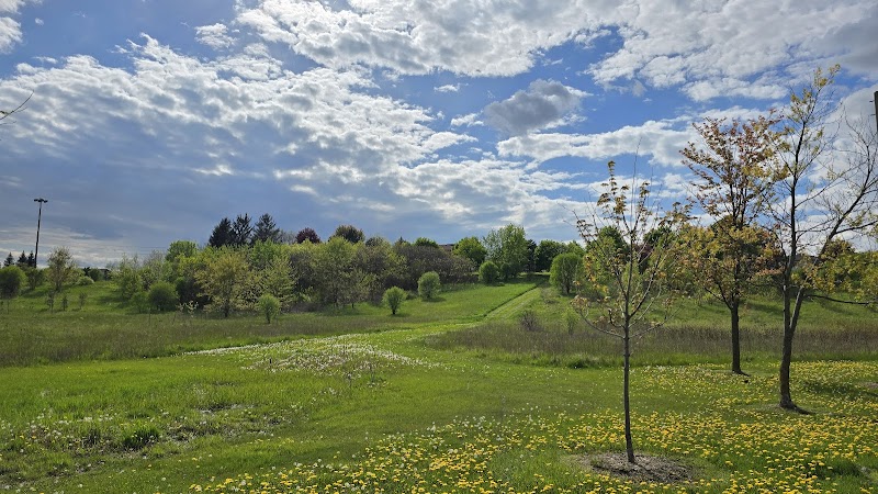 Bramalea Ltd Community Dog Park dog park