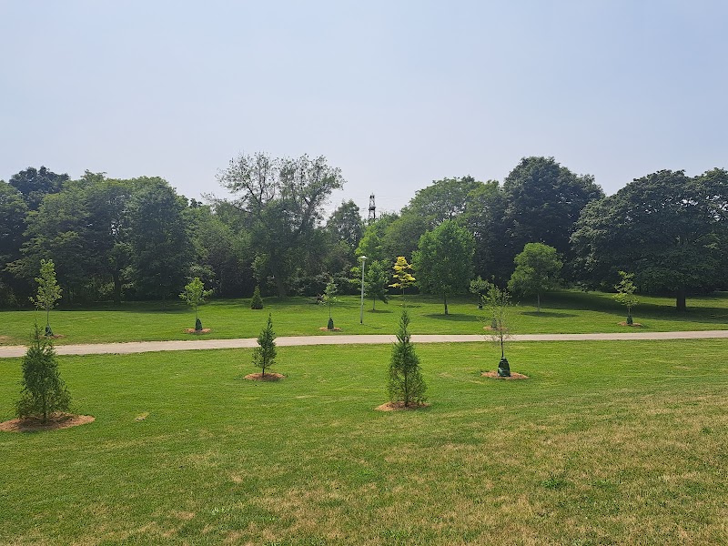 Earlscourt Park Dogs Off-Leash Area dog park