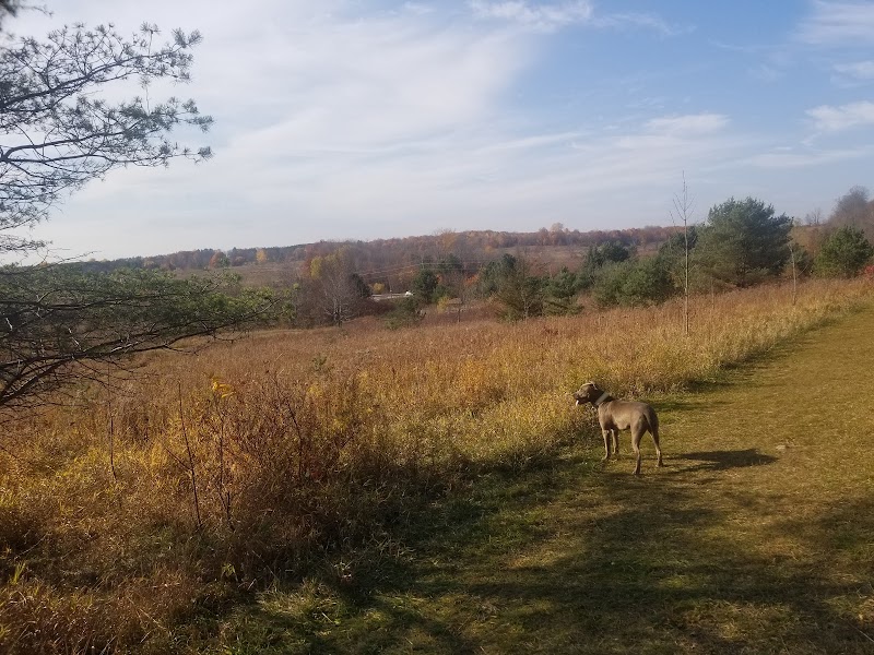 Port Mcnicoll Dog Park dog park