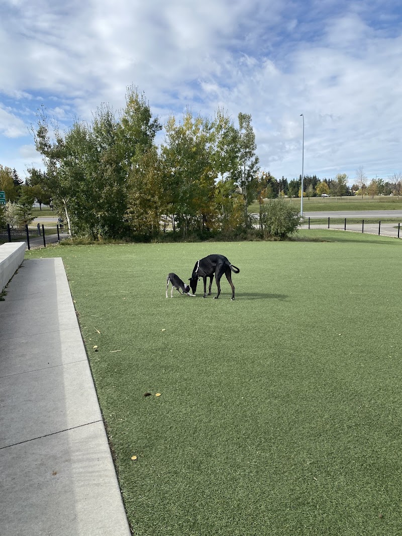 University District Off Leash Dog Park dog park