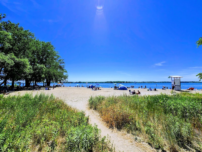 Cherry Beach Off Leash Dog Park dog park
