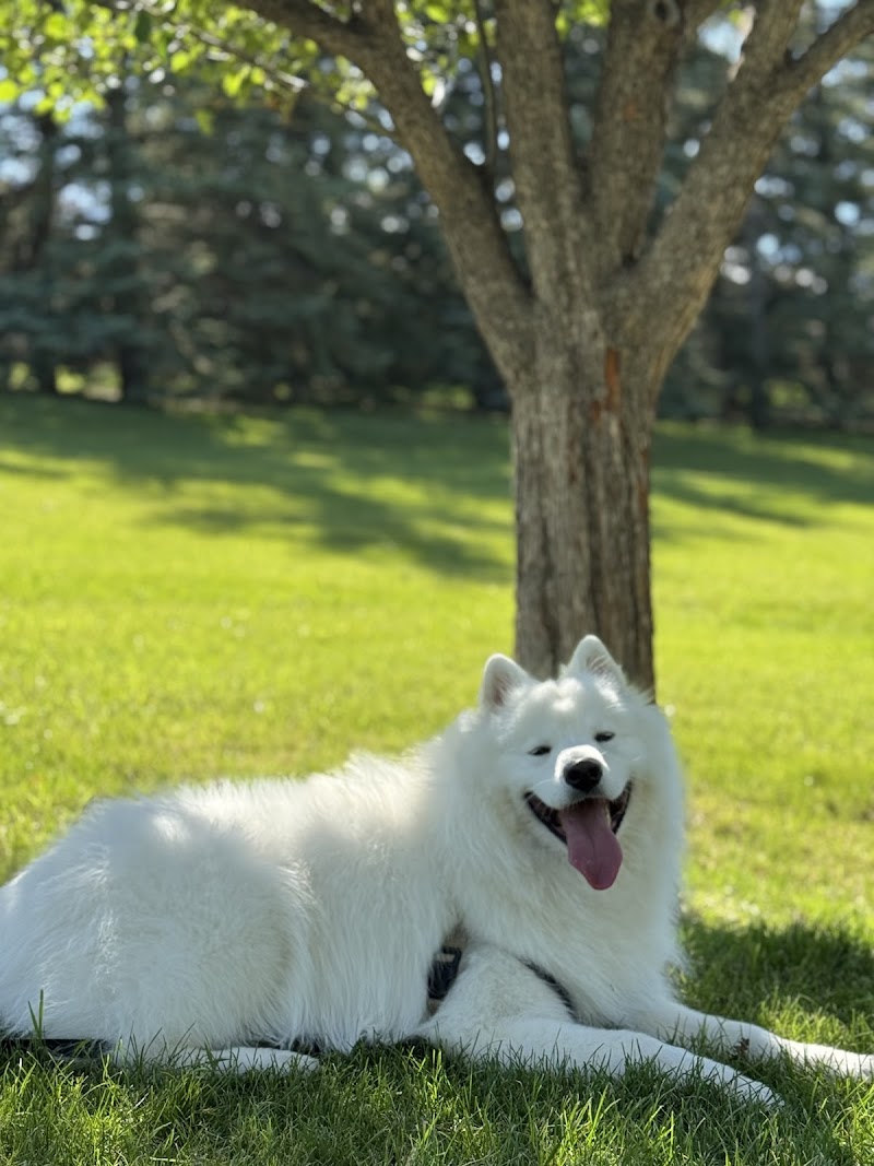 Egerts Park Off Leash Dog Park dog park