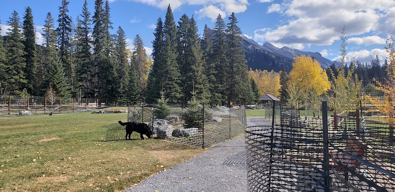 Hounsfield Heights/Briar Hill Off Leash Area dog park