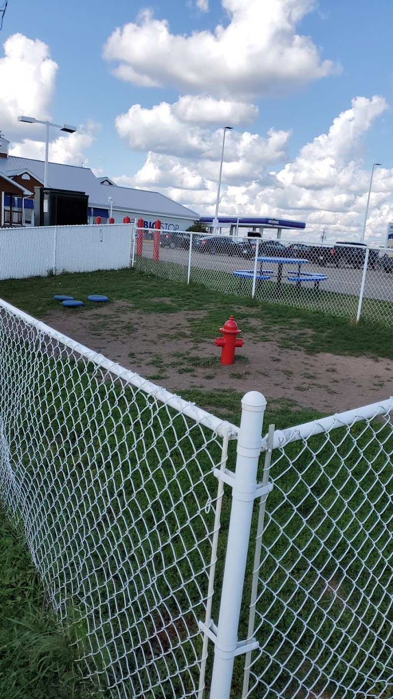 Salisbury Bark Park dog park