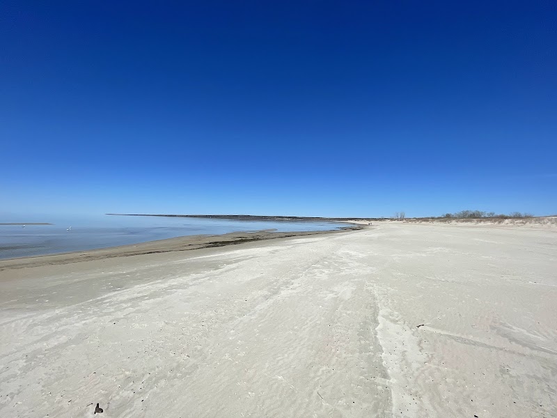 Grand Beach Dog Swim Area dog park