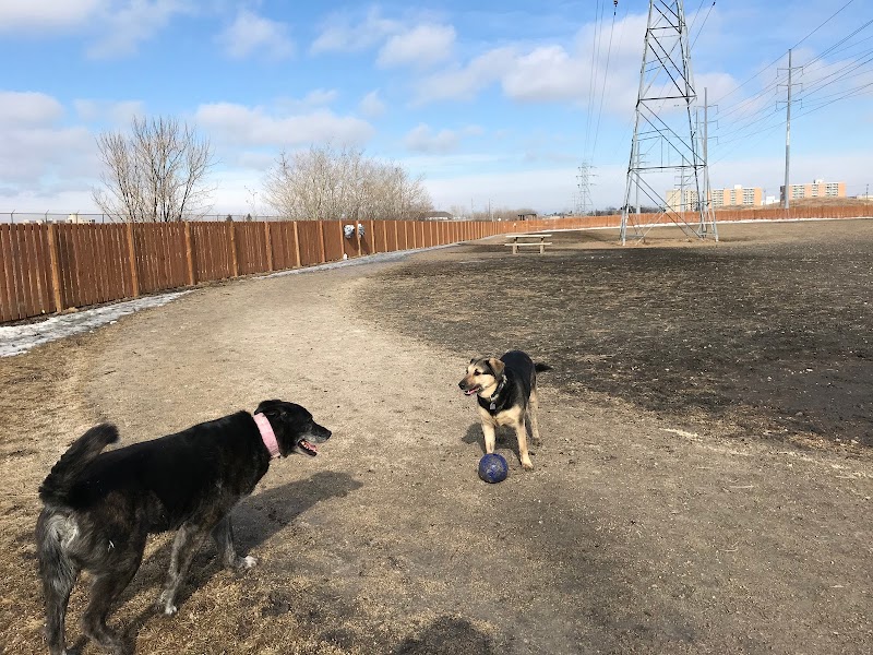 Brenda Leipsic Off-leash Dog Park dog park