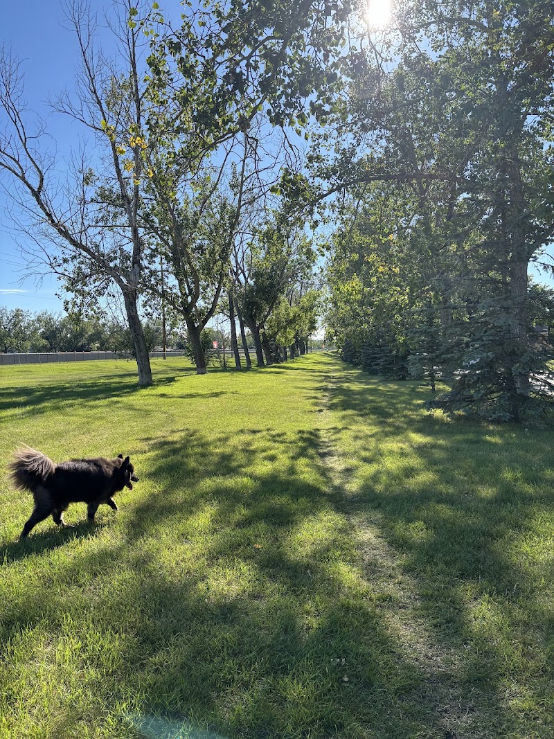 Willow Park Off-Leash Area dog park