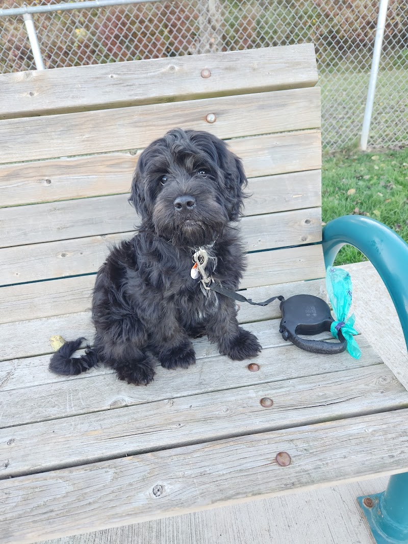 Niagara Falls Bark Park dog park