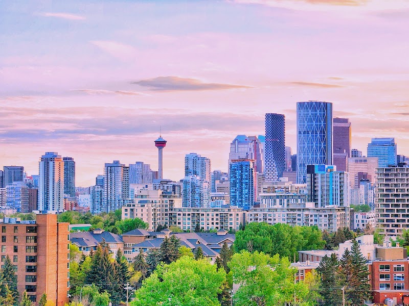 Tom Campbell's Hill Off Leash Dog Park dog park