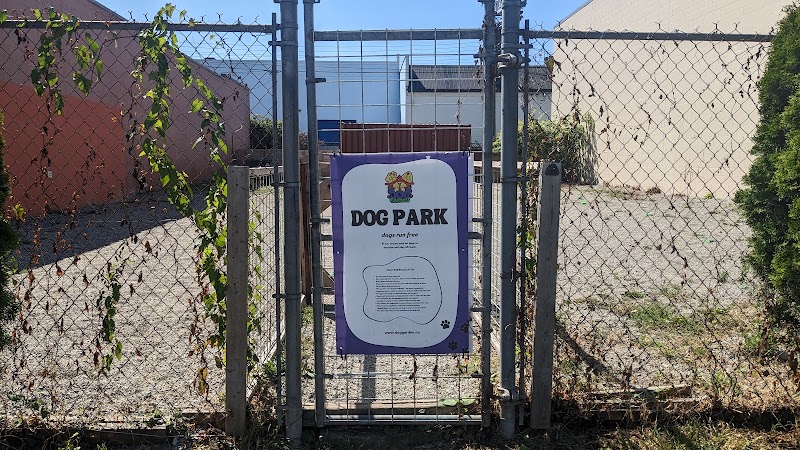 Dog Garden 🐶🐕🐕 dog park