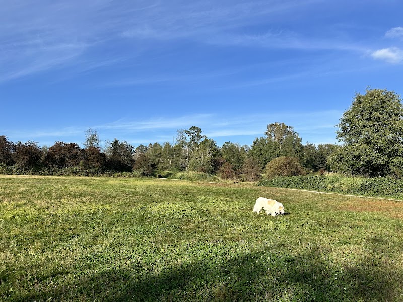 Tynehead Dog Park dog park