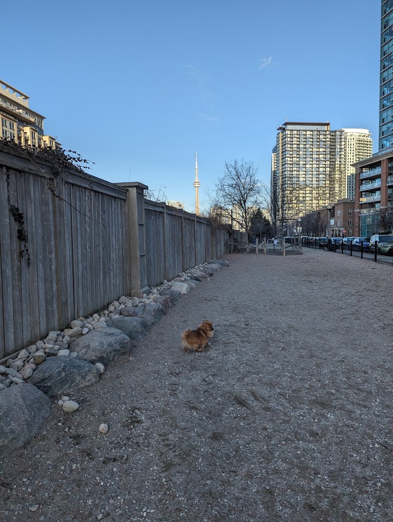 Liberty Village Dog Park dog park