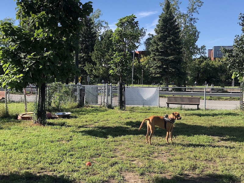 Saint-Patrick dog park dog park