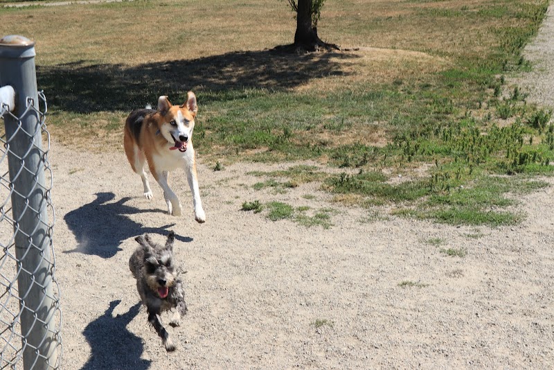 Uplands Dog Off Leash Park dog park