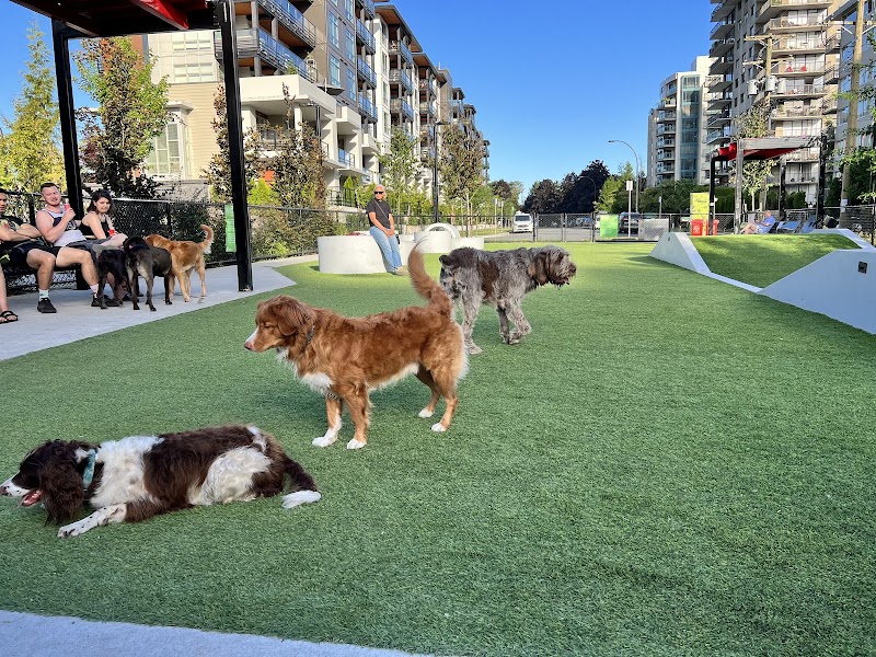 Lonsdale Off Leash Dog Plaza dog park